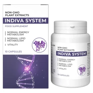InDiva System. Imagen 22.